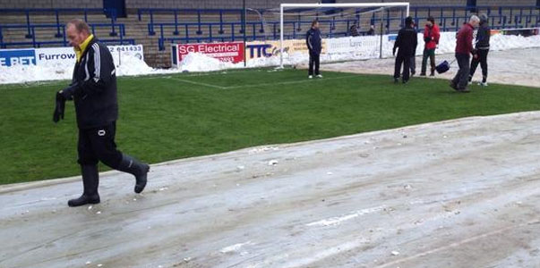 The first part of the grass emerges from under the covers.