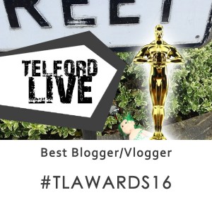 Best Blogger or Vlogger