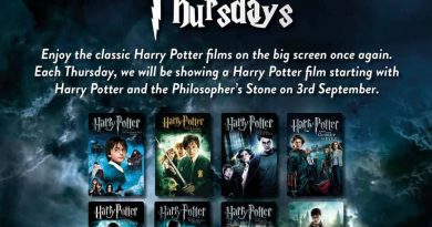 Every Harry Potter Movie, in order, on the big screen