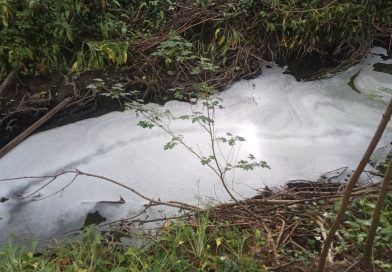 Water pollution in Hurley Brook traced
