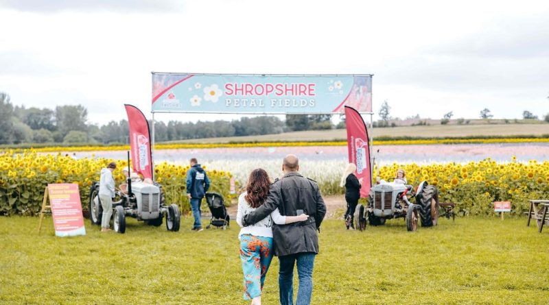 Shropshire Petal Fields Tickets Go Live