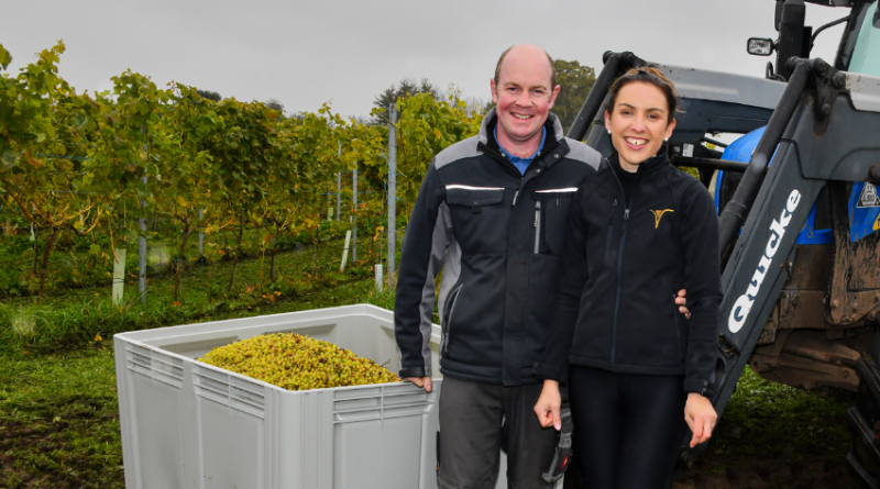 The incredible business behind the hedgerows in Waters Upton