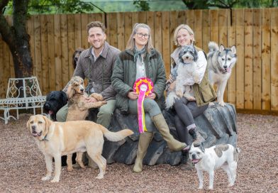 £250,000 investment marks K9 Anytime anniversary
