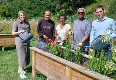Green grants up for grabs