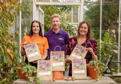 Dobbies launch new bulbs in partnership with Alzheimer’s Research UK