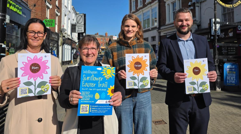 Charity Sunflower Trail to bloom in Wellington this Easter